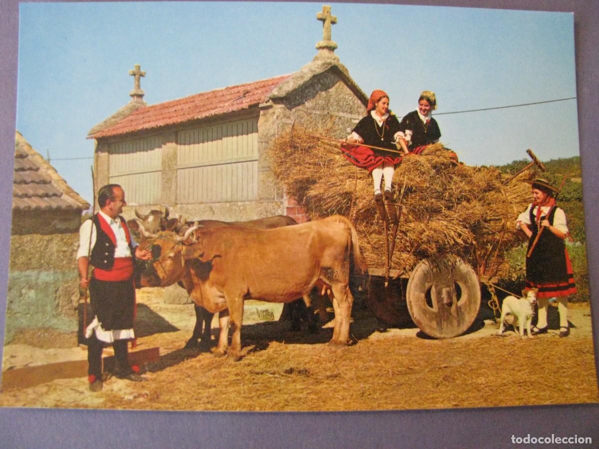 Postales: POSTAL DE GALICIA. A ANADE. ARRIBAS.