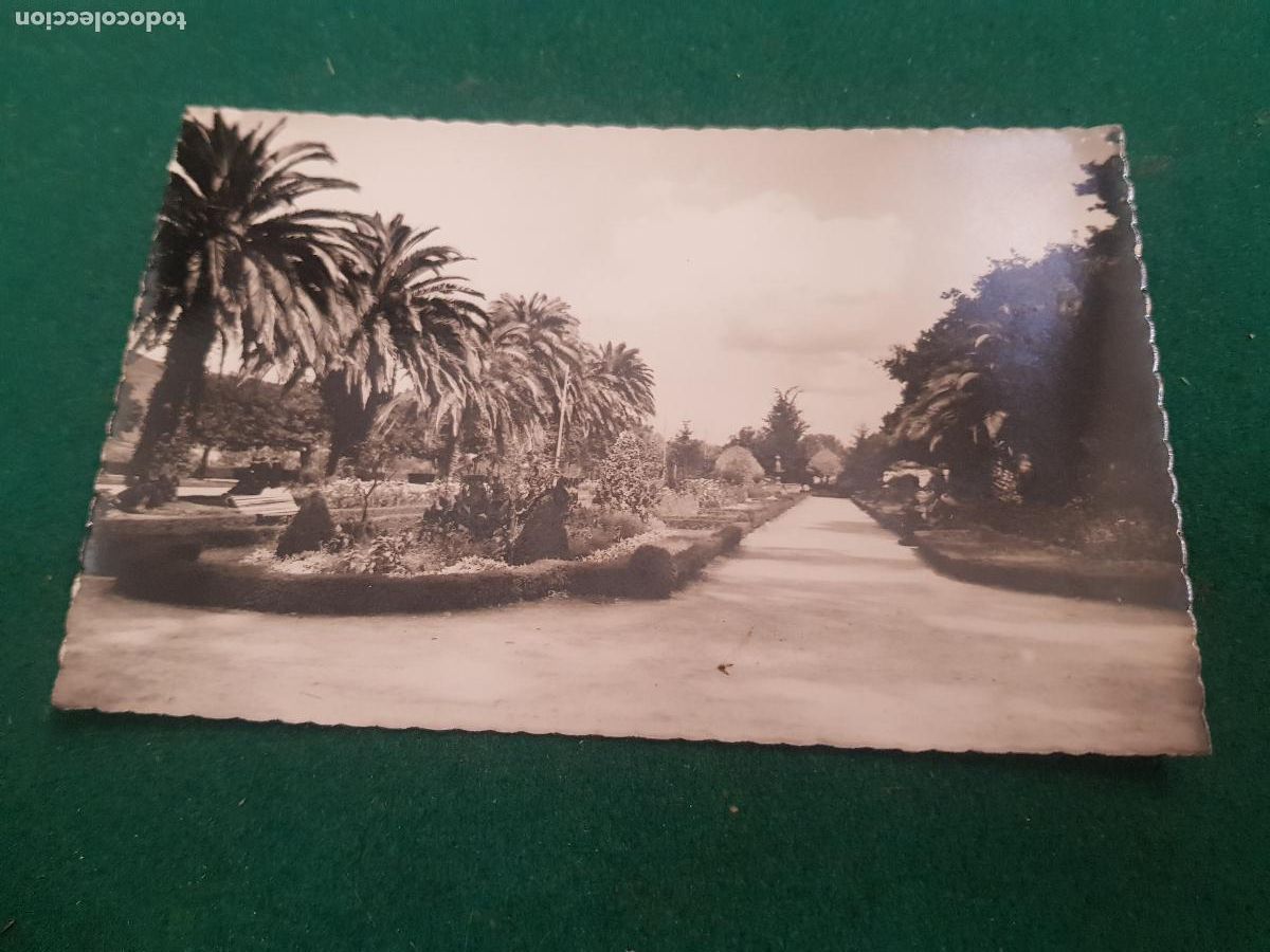 Postkarten: SANTIAGO DE COMPOSTELA-HERRADURA PASEO DE LAS PALMERAS