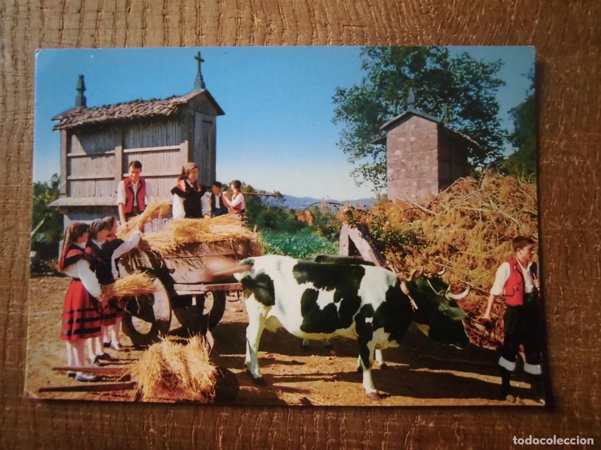 Postkarten: POSTAL FOLKLORE GALLEGO ACOMODANDO EL TRIGO EDICIONES ALARDE