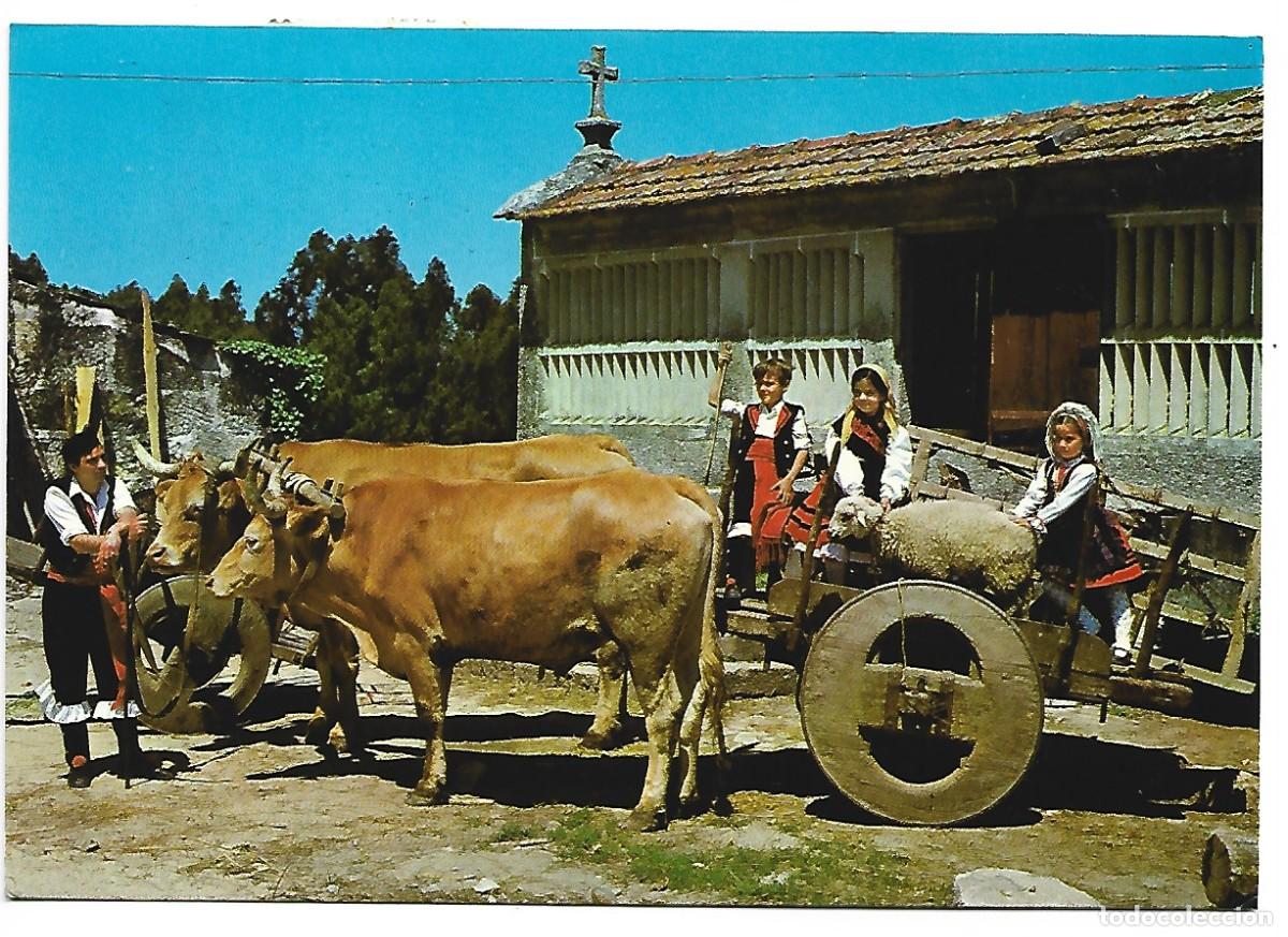 Cartes Postales: ANTIGUO CARRO CON NI&Ntilde;OS, ORENSE.- GALICIA