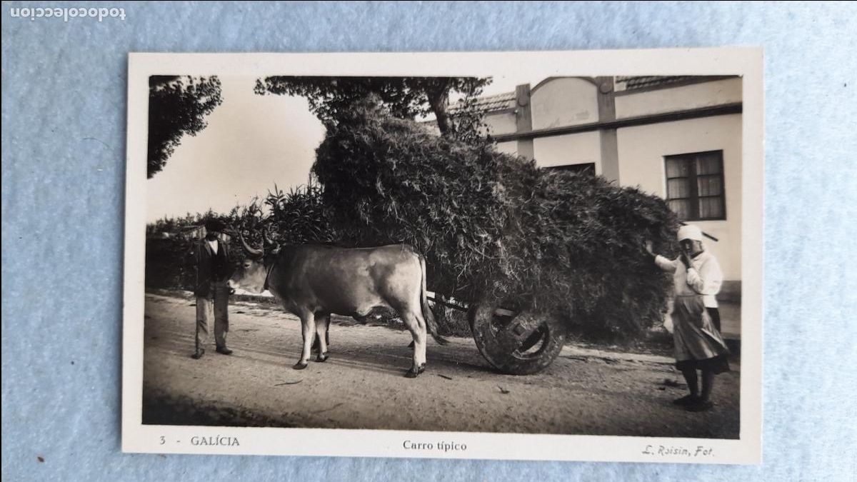 Postales: Galicia. Carro T&iacute;pico. - Foto 1