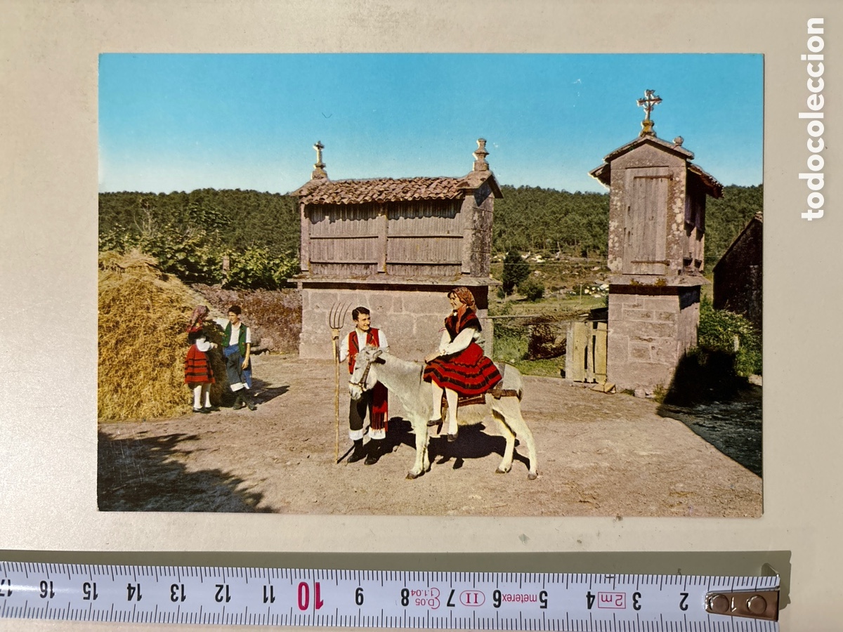Postkarten: POSTAL. GALICIA. FOLKLORE GALEGO. CAMINO DEL PASTIZAL. ED. ALARDE.