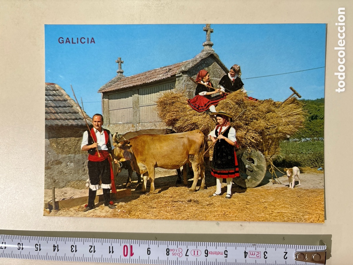 Postkarten: POSTAL. GALICIA. CAMI&Ntilde;O DA EIRA. JOVENES CON ATUENDO T&Iacute;PICO Y H&Oacute;RREO. ED. ARRIBAS.
