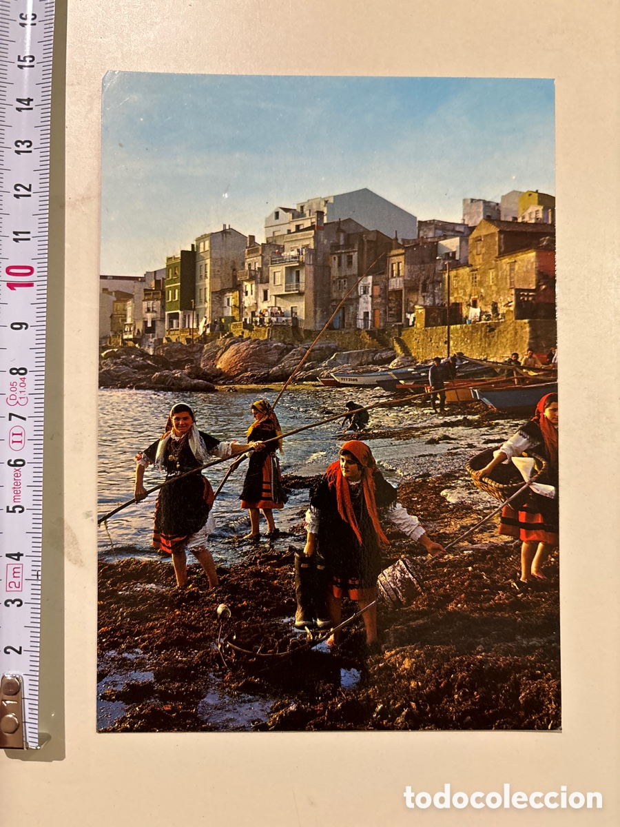 Postkarten: POSTAL. GALICIA. RECOGIENDO ALGAS EN LAS R&Iacute;AS. FAMA.