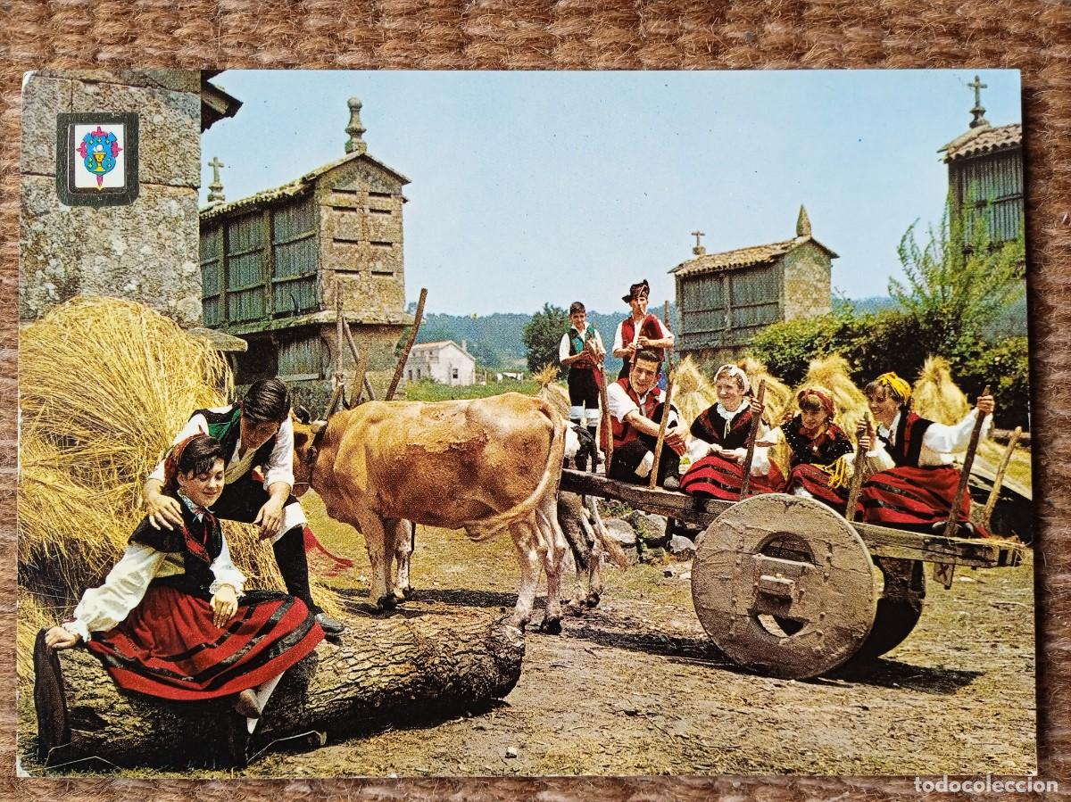 Cartes Postales: GALICIA - ENGAYOLANDO - ED. DOMINGUEZ