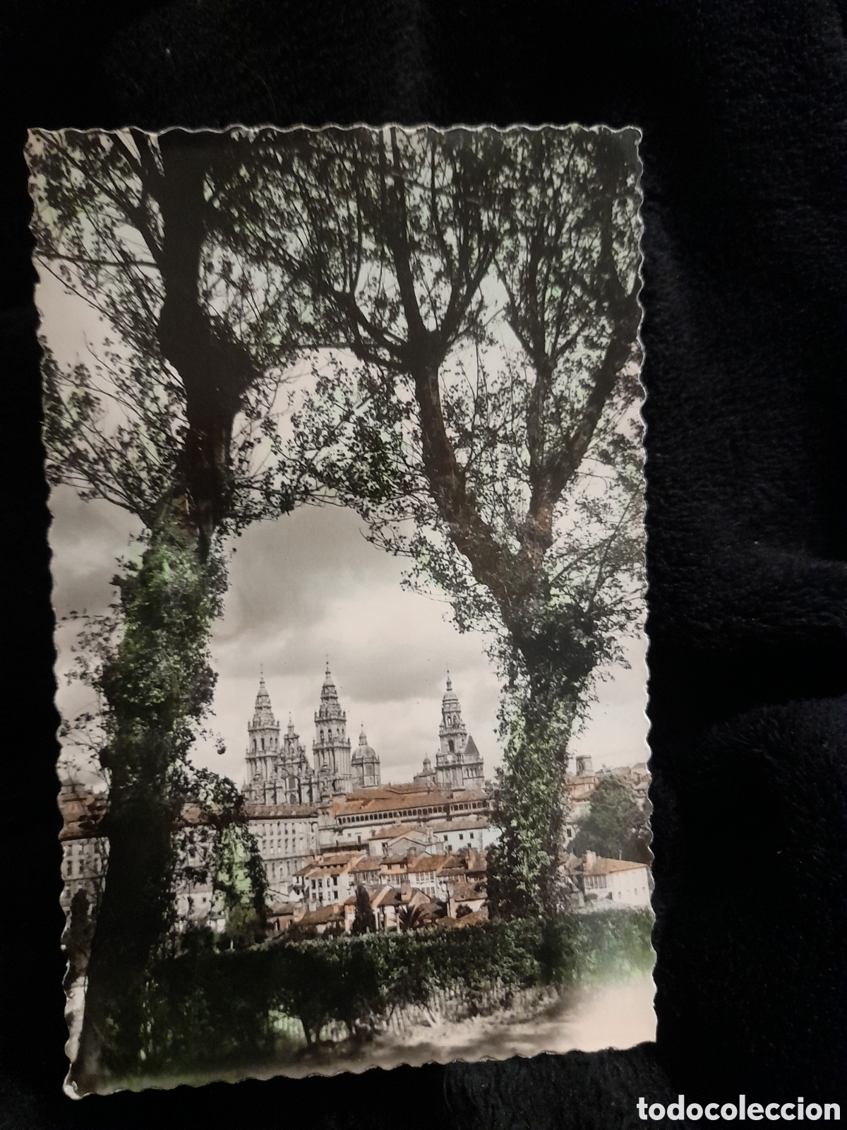 Cartes Postales: Antigua postal fotogr&aacute;fica, Santiago de Compostela, Vista Parcial desde el Paseo de la Herradura