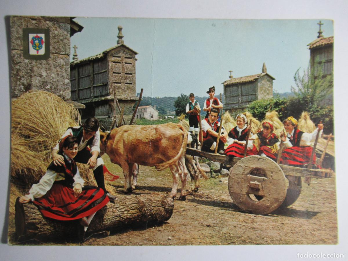 Postales: Galicia - Engayolando - Foto 1