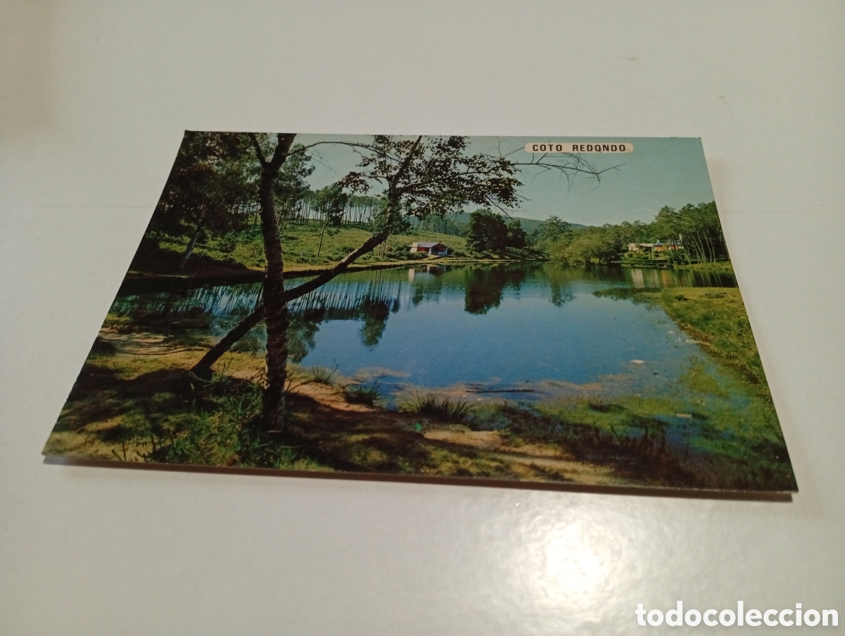 Postales: Postal coto redondo, lago - Foto 1