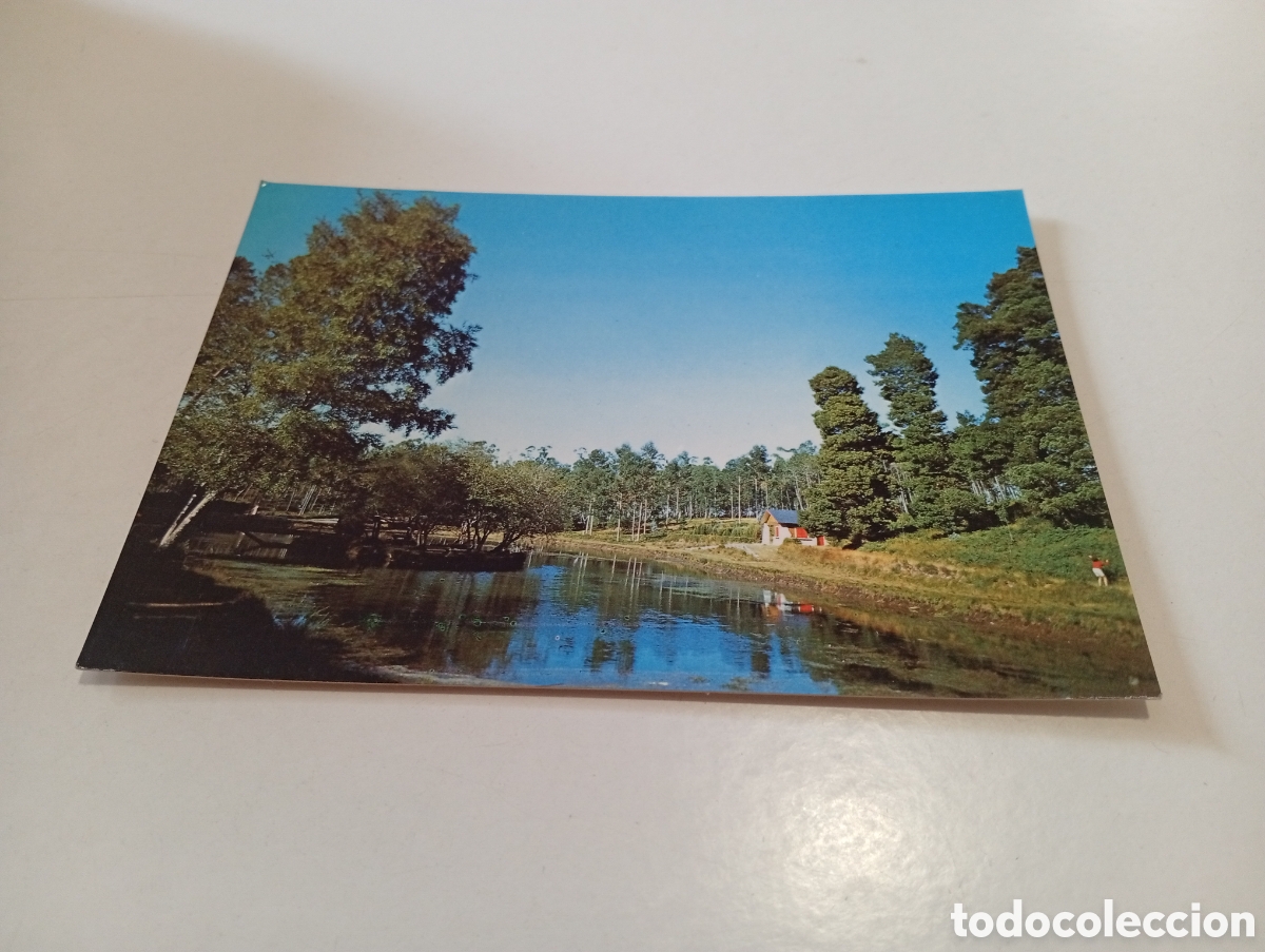 Postales: Postal Pontevedra........ - Foto 1