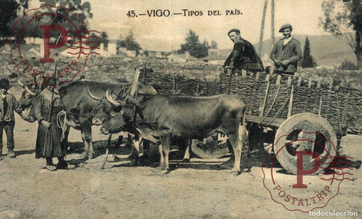 Postales: PONTEVEDRA. VIGO. TIPOS DEL PAIS. EDIC TAFALL. - Foto 1