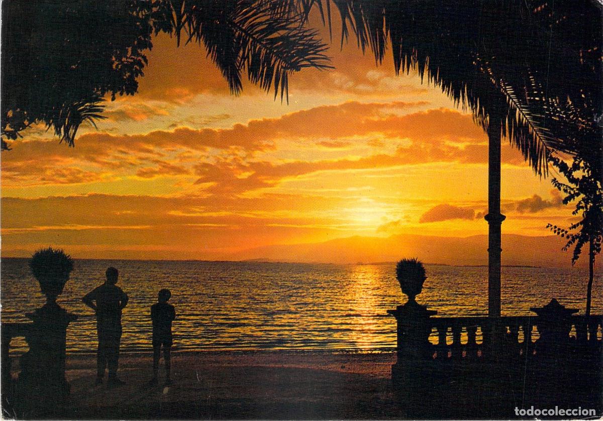 Postales: Postal de Galicia con Escena de Puesta de Sol y Palmeras