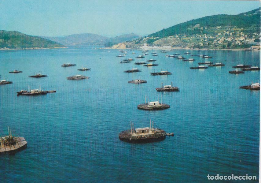 Postales: VIGO, MEJILLONERAS DE LA RIA, VISTA A&Eacute;REA - EDICI&Oacute;N DE LA REGION N&ordm;27 - S/C