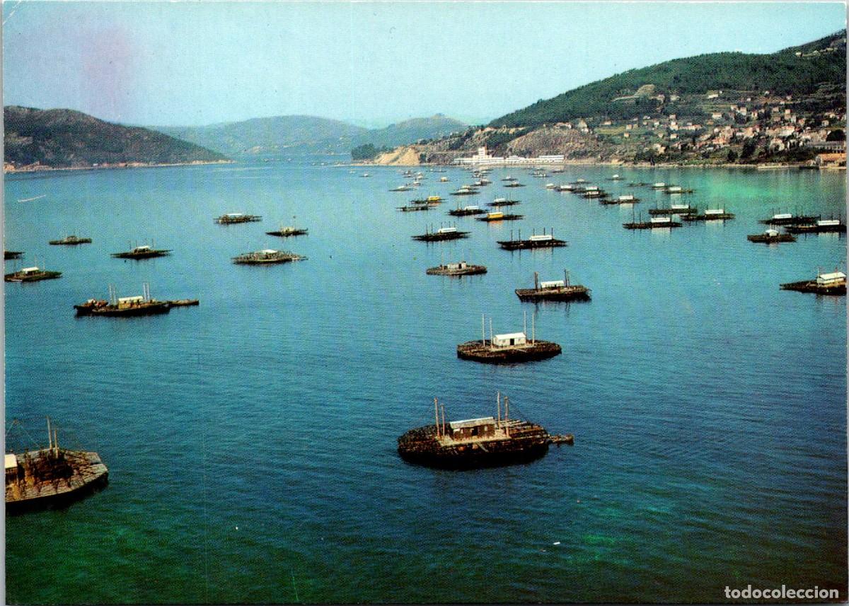 Postales: Vigo - A&eacute;rea - Mejilloneras de la R&iacute;a - La Regi&oacute;n 27 - 146x104mm