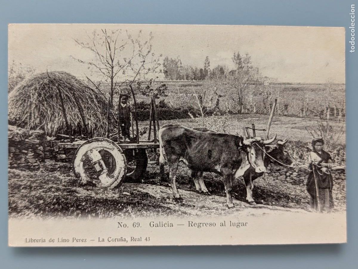 Postales: POSTAL GALICIA N&ordm; 69 EDIC LIBRERIA DE LINO PEREZ TIPOS GALLEGOS LA CORU&Ntilde;A PONTEVEDRA ORENSE LUGO