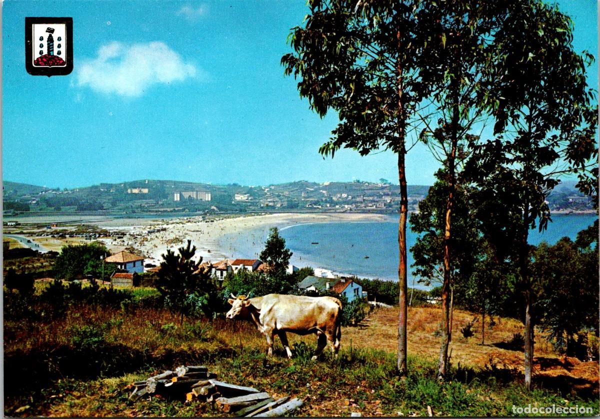 Postales: La Coru&ntilde;a - Playa de Santa Cristina - FISA 8 - 148x103mm - Vaca Pastando