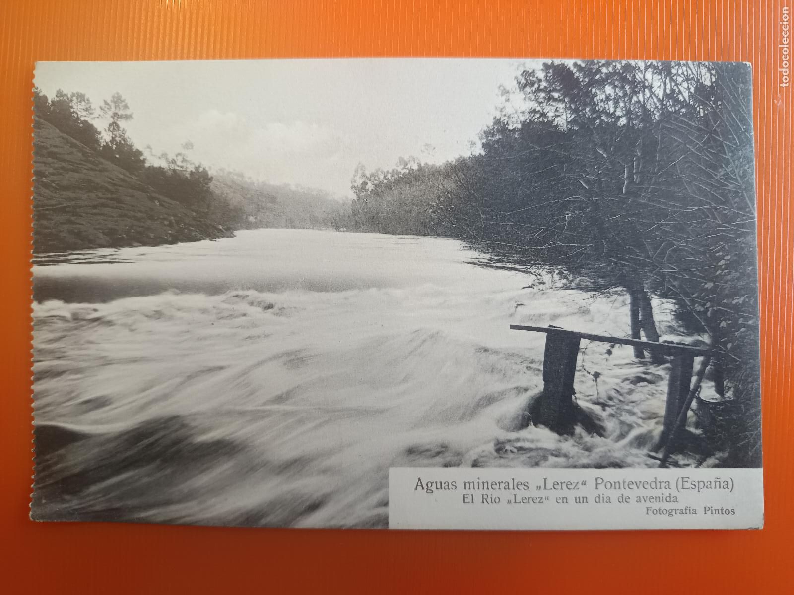 Postales: POSTAL PONTEVEDRA AGUAS MINERALES LEREZ, EL RIO EN UN DIA DE AVENIDA, FOTOGRAFIA PINTOS S/C