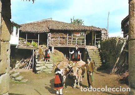 Postales: POSTAL A COLOR 736 GALICIA TIPICA EDICIONES PARIS