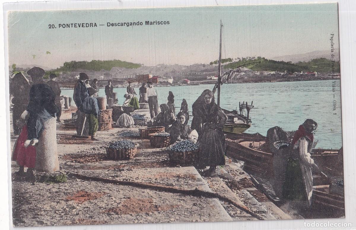 Postales: Pontevedra 20 Descargando mariscos. Papeler&iacute;a de Francisco Vi&ntilde;as. Sin circular
