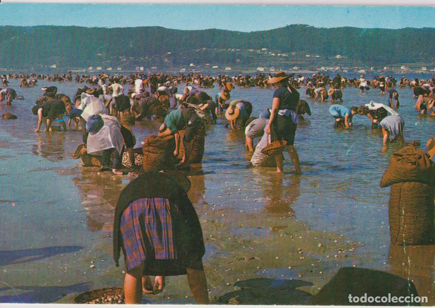 Postales: NOYA (LA CORU&Ntilde;A) MARISCANDO EN LA PLAYA DE BEA - ED.ESTEIRAN 10001 - S/C