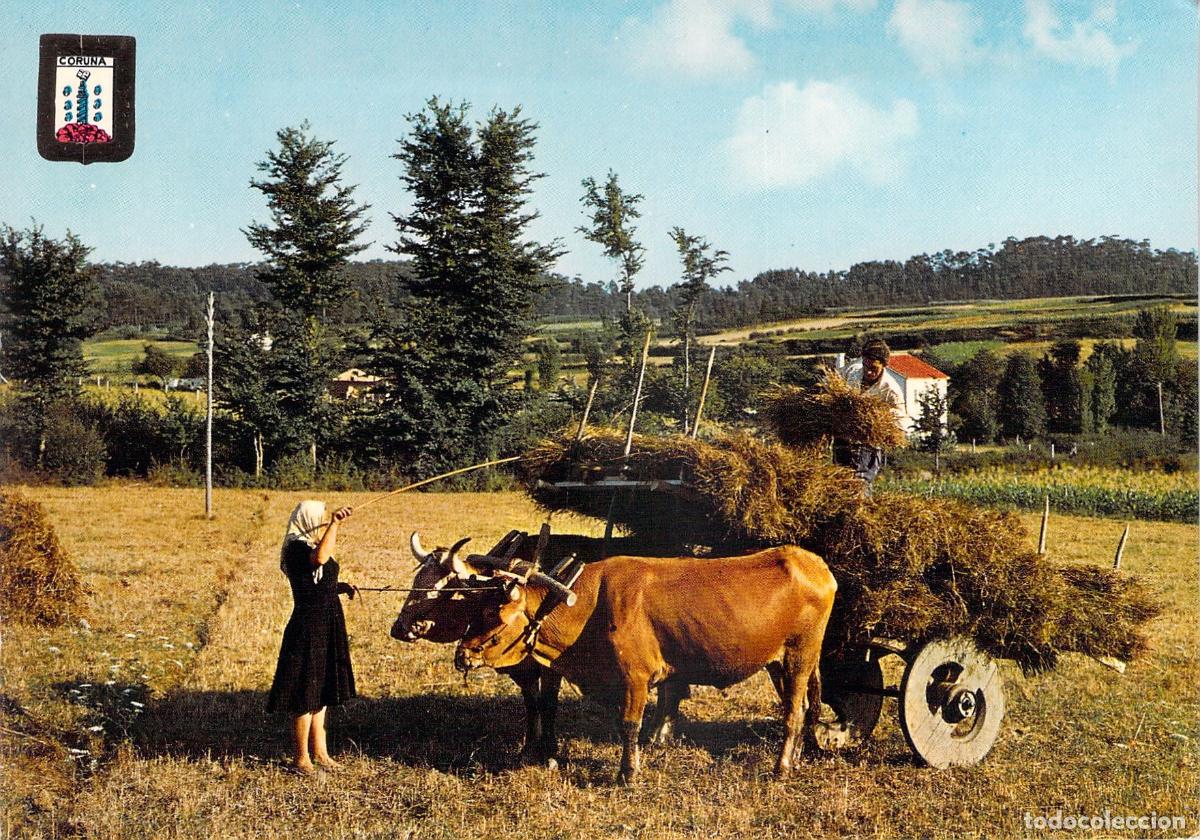 Postales: Postal de La Coru&ntilde;a - T&iacute;pico Rinc&oacute;n Gallego con Carro de Bueyes