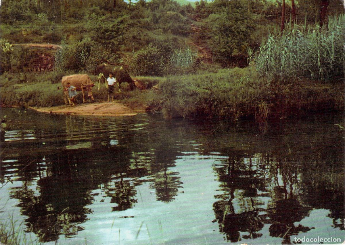 Postales: Postal de Boiro, R&iacute;o Goyanes y Pozo Negro, La Coru&ntilde;a, Galicia