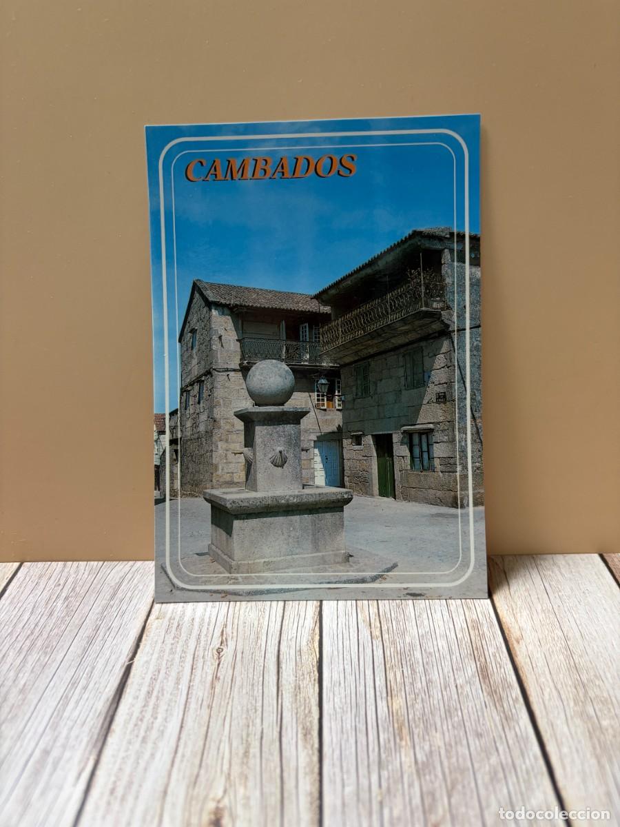 Postales: TARJETA POSTAL. PONTEVEDRA. 6.- CAMBADOS. PLAZA DE RODAS. EDICIONES ARRIBAS