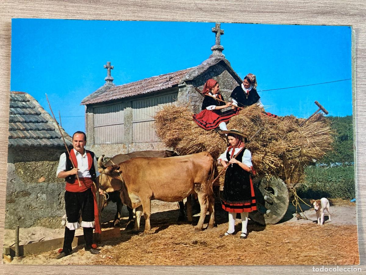 Postales: POSTAL, GALICIA, 2902, CAMI&Ntilde;O DA EIRA, EDICIONES ARRIBAS, ZARAGOZA