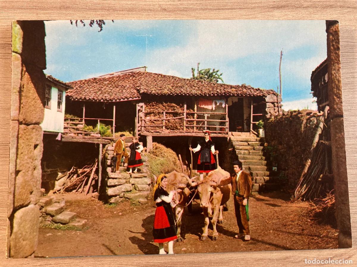 Postales: POSTAL, GALICIA, 736, BALLET FOLKLORICO , EDICIONES PARIS - J.M. - ZARAGOZA
