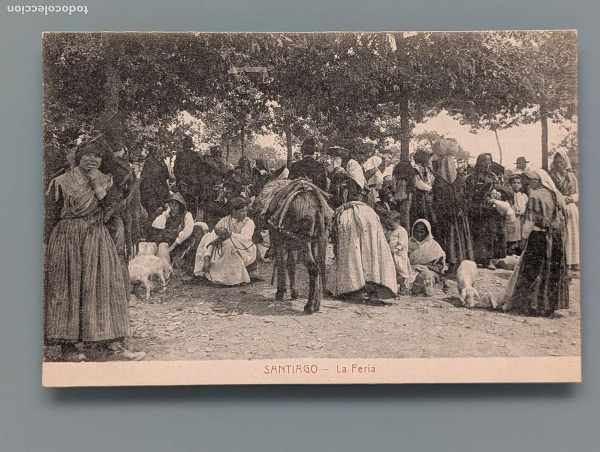 Postales: POSTAL SANTIAGO COMPOSTELA LA FERIA MERCADO GANADO LA CORU&Ntilde;A FERROL VIGO LUGO ORENSE PERFECTA CONS