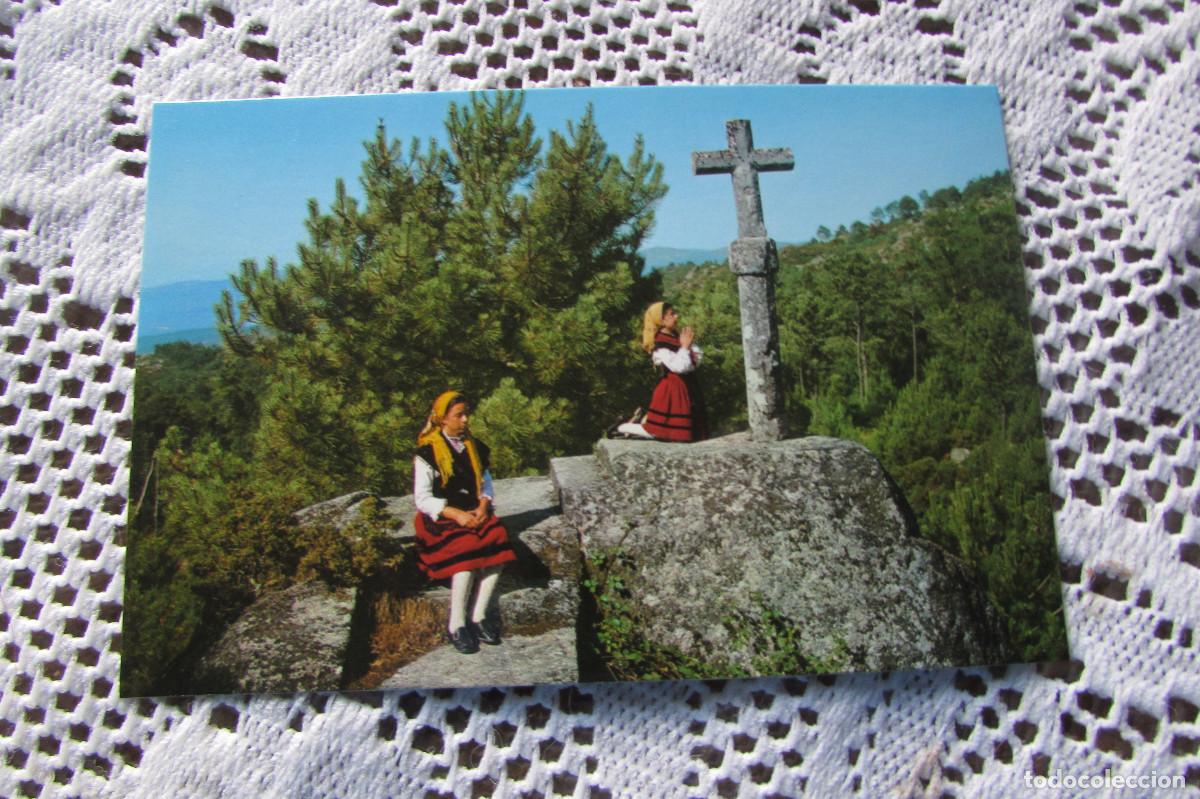 Postales: TARJETA POSTAL N&ordm; 3361 GALICIA , CRUCERO