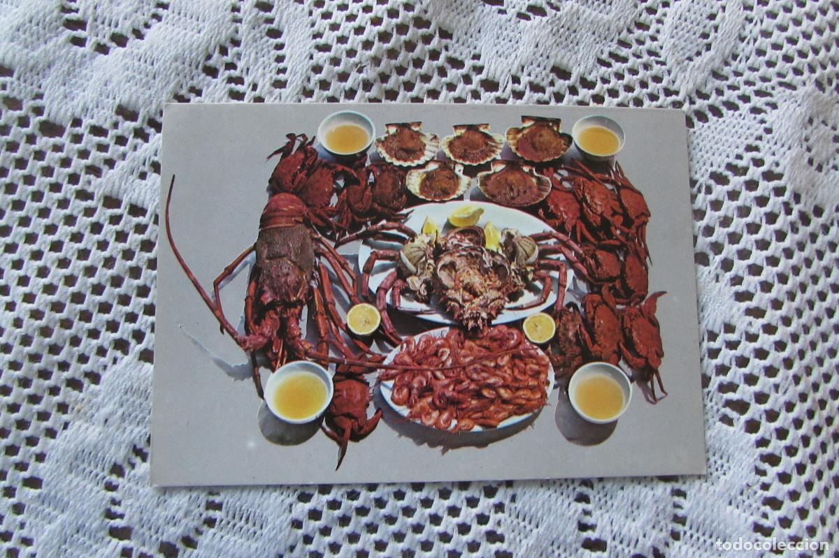 Postales: Galicia. Mariscos Ed. Arribas n&ordm; 936. ESCRITA