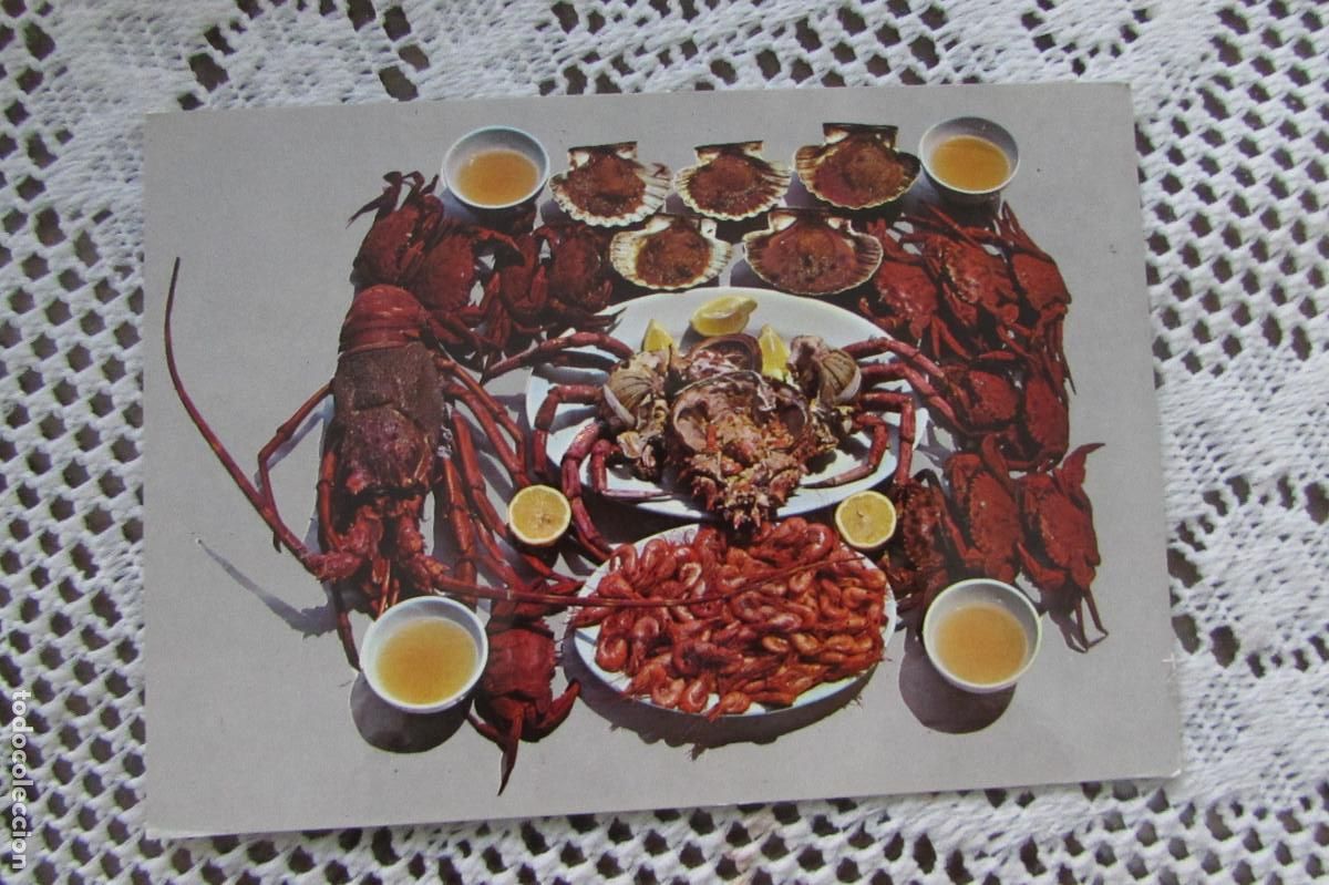 Postales: Galicia. Mariscos n&ordm; 936. ESCRITA