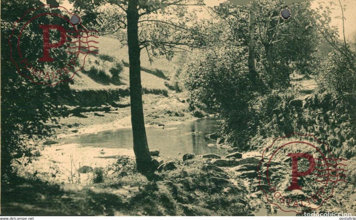 Cartoline: MONDO&Ntilde;EDO PAISAJE EN LA FABEGA GALICIA ESPA&Ntilde;A ESPAGNE