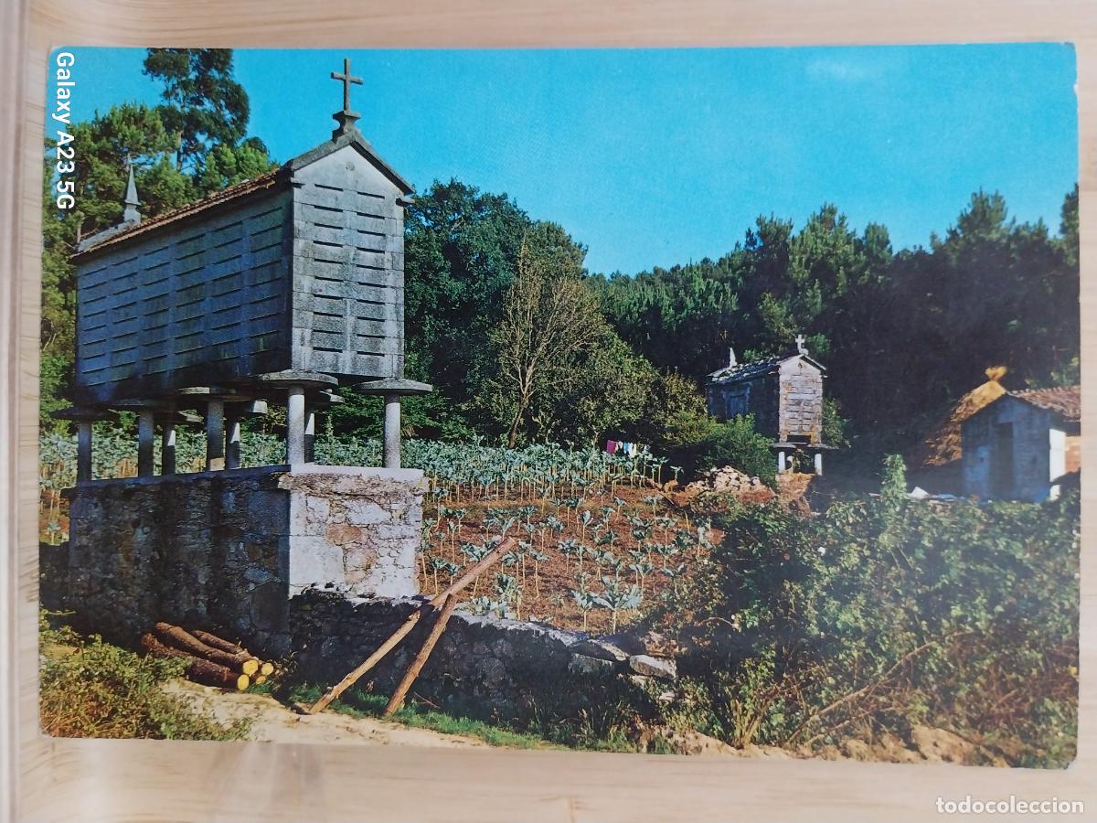 Postales: HORREOS GALICIA ED GARRABELLA 1 SC ORIGINAL HUERTA ROPA TENDIDA