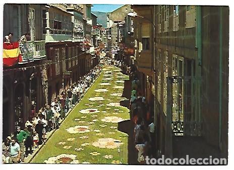 Postales: ALFOMBRA DE FLORES EN LA C/ RUIZ DE ALDA.- PUENTEAREAS / PONTEVEDRA