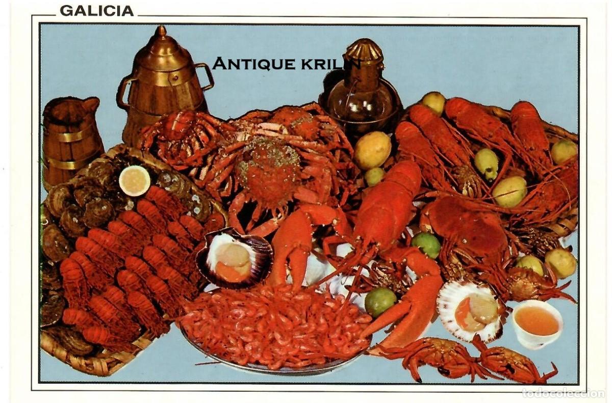Cartoline: GALICIA N&ordm; 945 MOLUSCO DE LA TIERRA / EDICIONES ARRIBAS / SIN FRANQUEAR