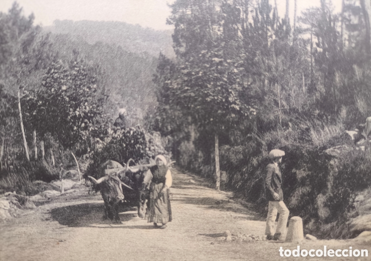 Postales: MONDARIZ CAMINO DE PIAS POSTAL ANIMADA FOTOTIPIA ED. J. FARO BLANCO PONTEVEDRA C. 1920