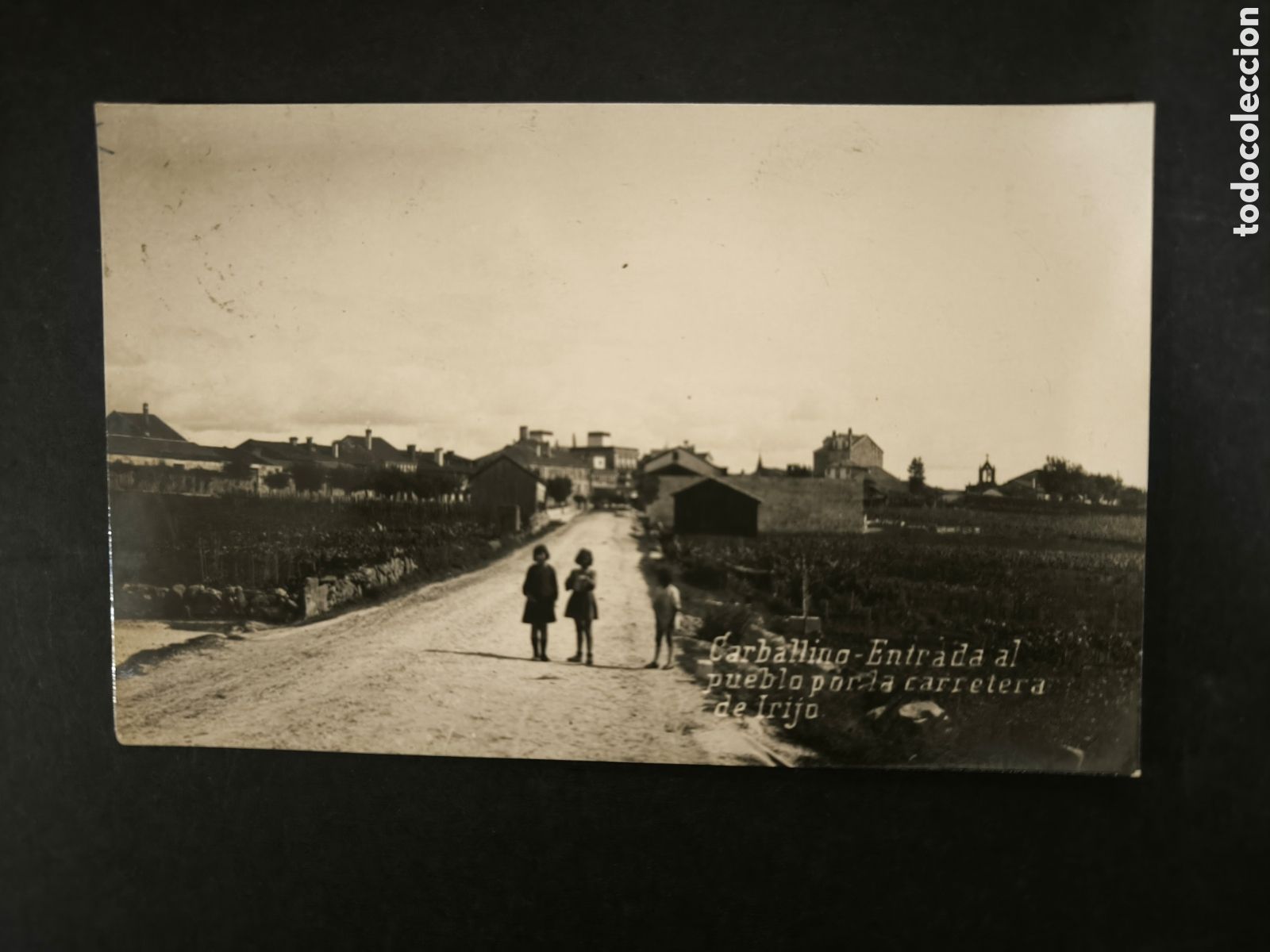 Postales: Fotograf&iacute;a postal Carballi&ntilde;o, entrada al pueblo por la carretera de Irijo. Orense