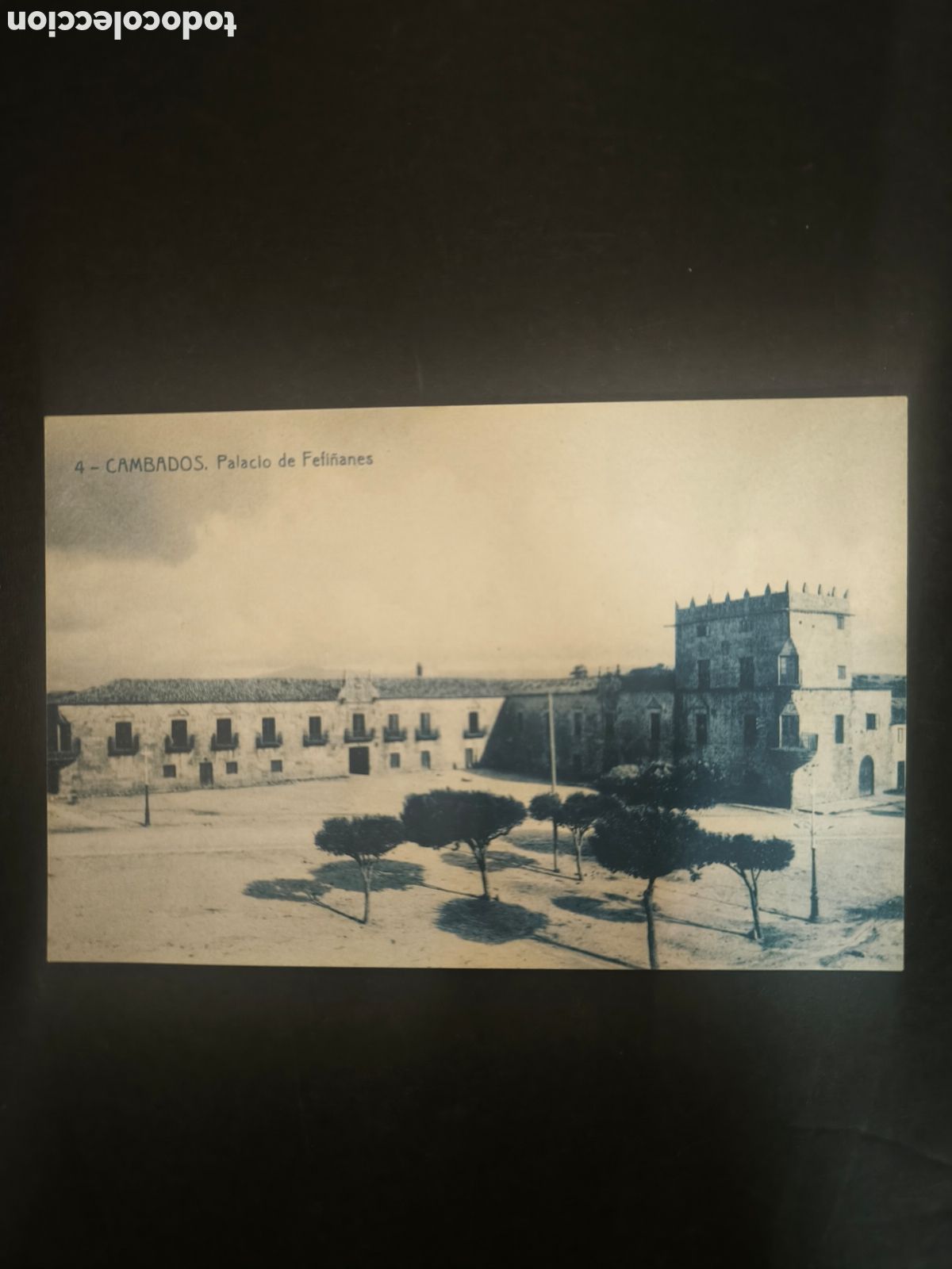 Postales: Postal antigua 4. Palacio de Fefi&ntilde;anes. Pontevedra, Galicia.