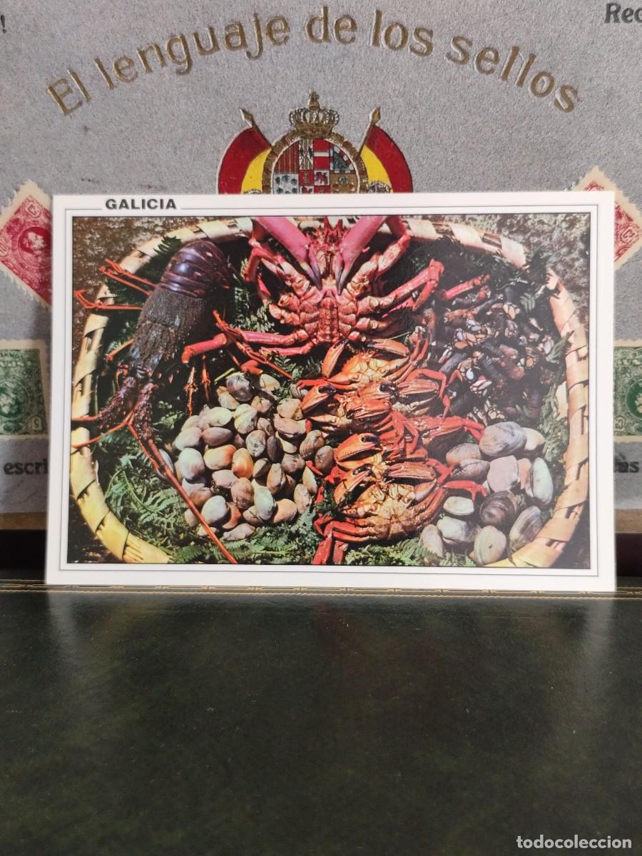 Postales: P5898 Postal Galicia 934 Mariscos . Edc. Arribas