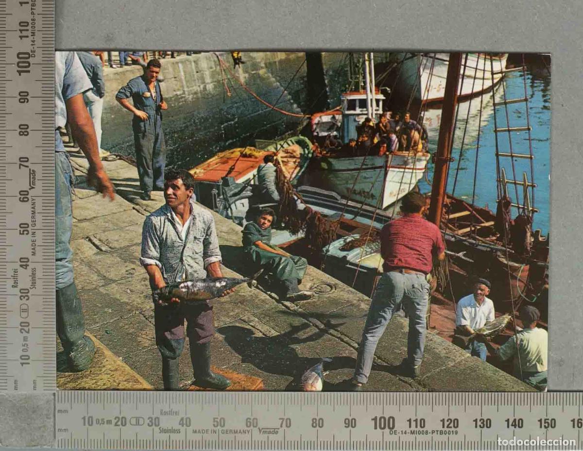 Postales: POSTAL. Pescadores con capturas en barcos y muelles VIGO