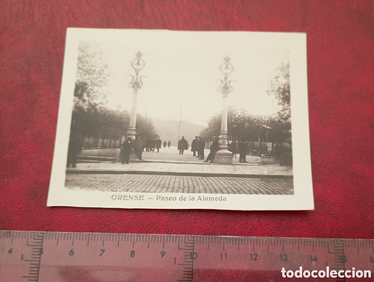 Postales: ORENSE - PASEO DE LA ALAMEDA