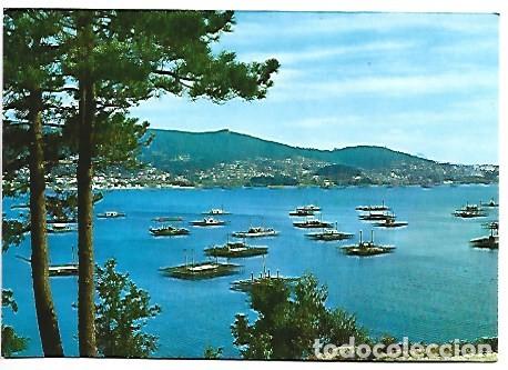 Postales: DETALLE DE LA RIA CON MEJILLONERAS - THE RIVER DETAIL WHIT MEJILLONERAS.- VIGO
