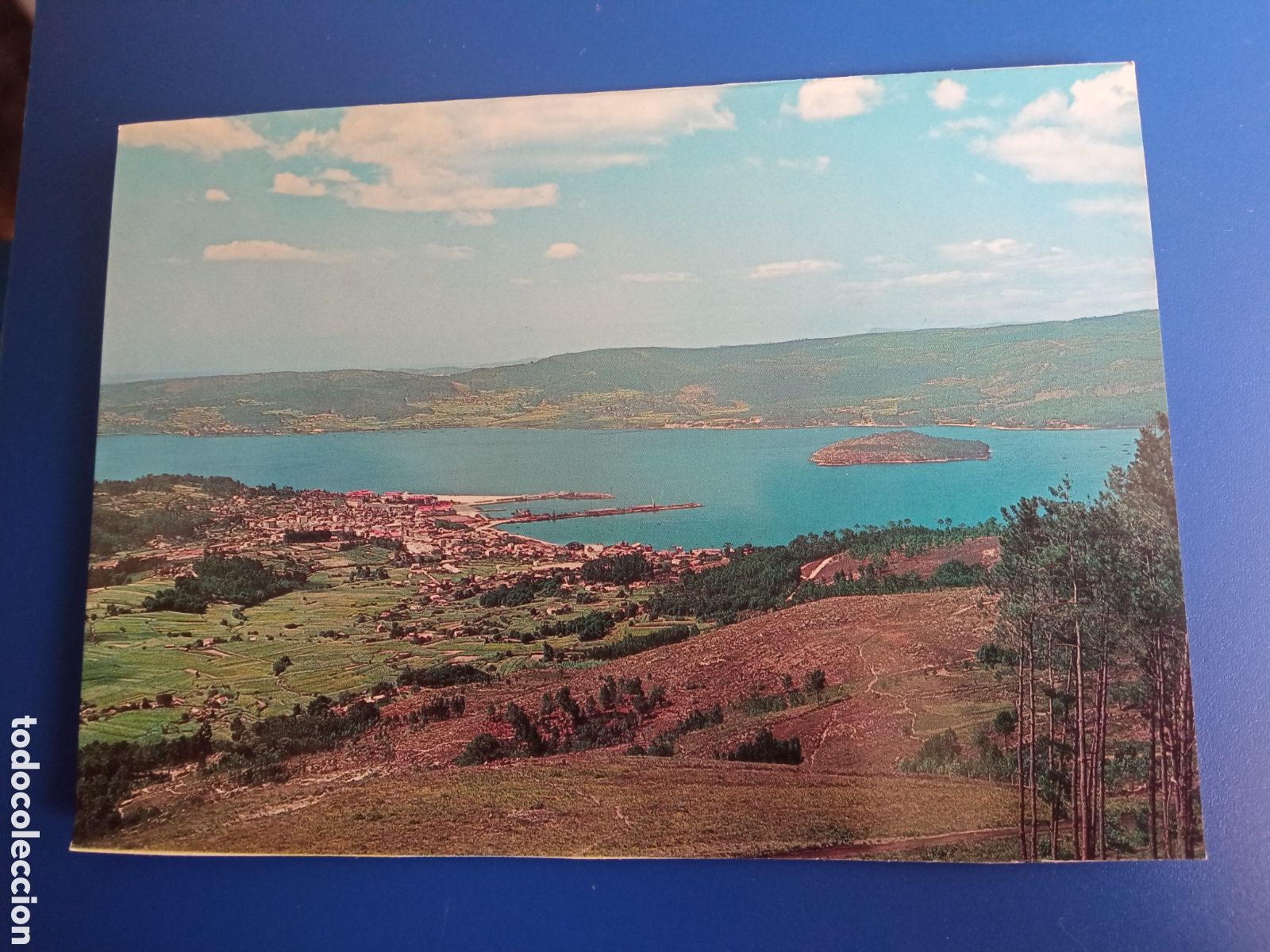 Postales: Antigua postal fotogr&aacute;fica, Marin (Pontevedra) Vista General