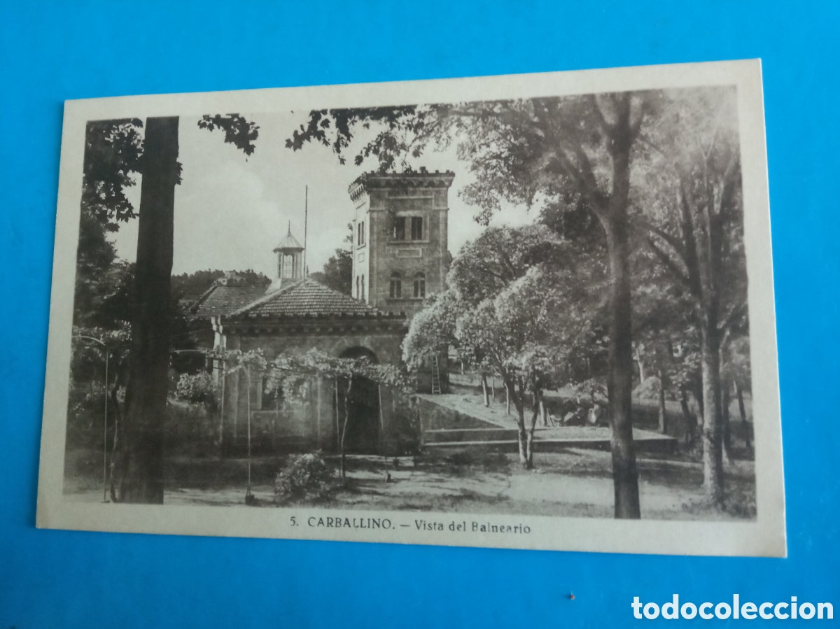 Postales: Antigua postal fotogr&aacute;fica, Carballino (Orense) Vista del Balneario