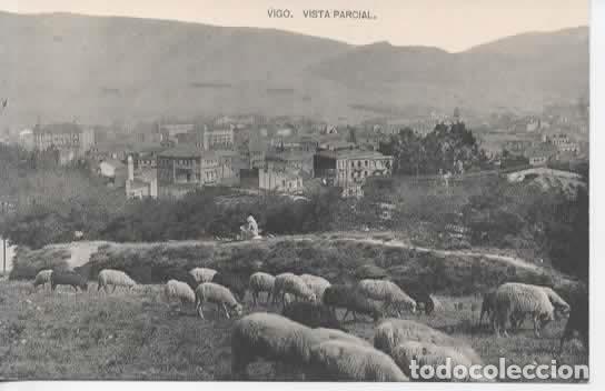 Postales: PONTEVEDRA VIGO SIN ESCRIBIR