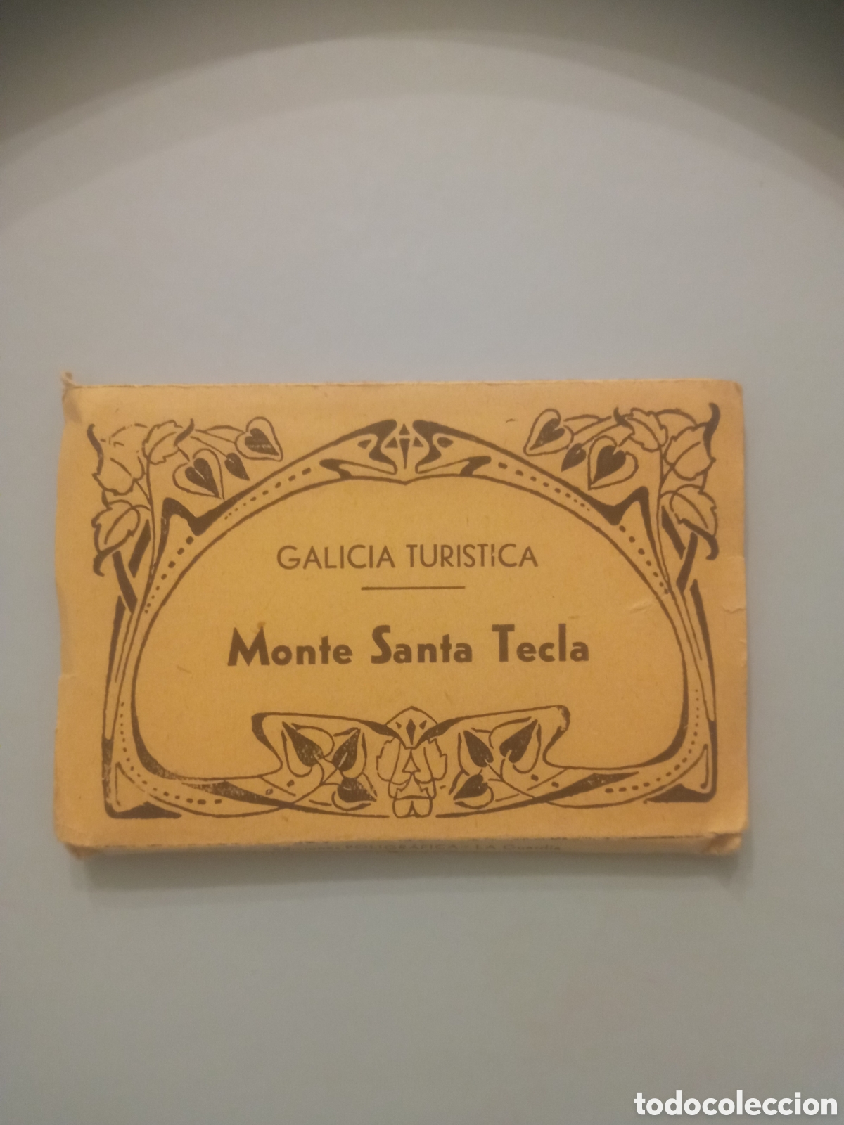 Postales: Antiguo acorde&oacute;n con 10 antiguas fotograf&iacute;as en miniatura de Monte Santa Tecla, miden 88x65mm