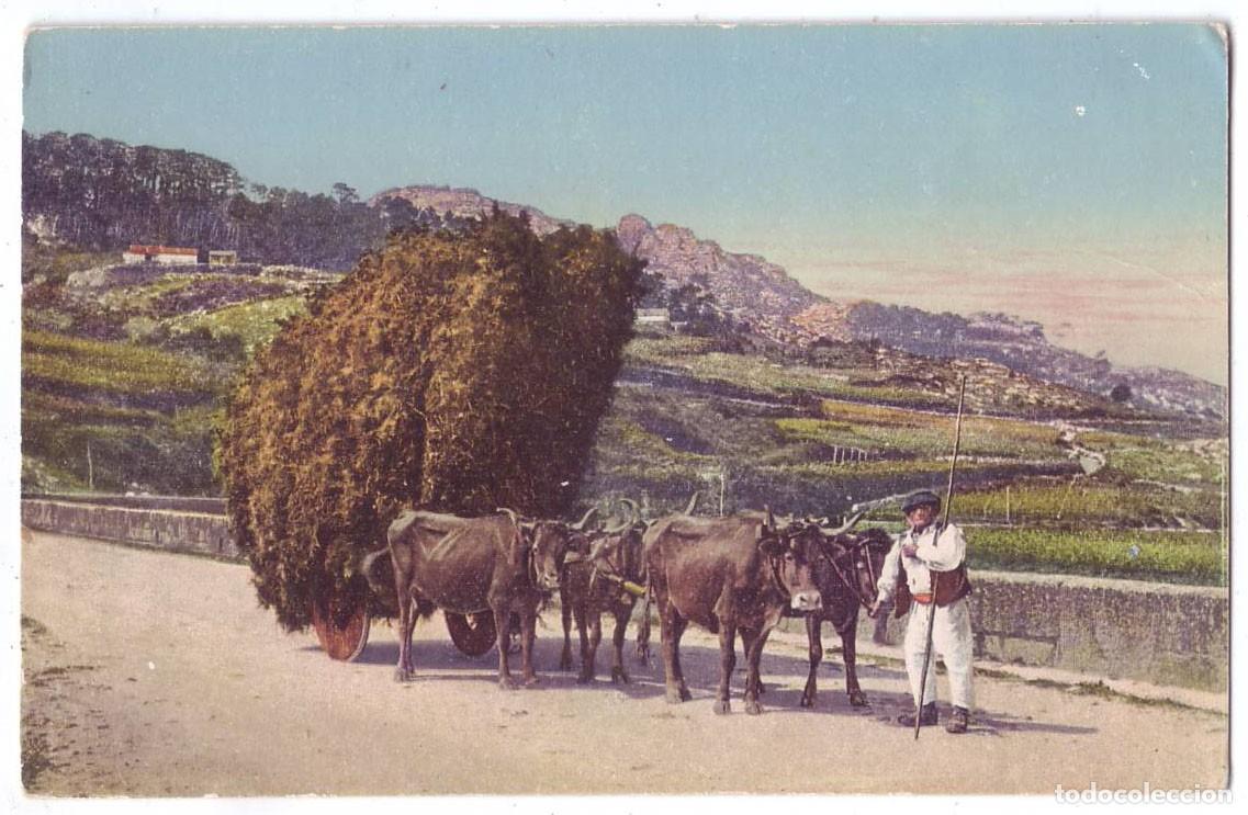 Postales: Vigo (Pontevedra): Una carreta de tojo. Hauser y Menet. No circulada (A&ntilde;os 20)