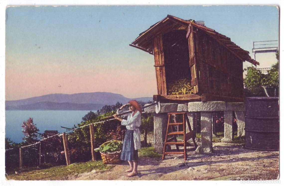Postales: Vigo (Pontevedra): En la aldea. Hauser y Menet. No circulada (A&ntilde;os 20)