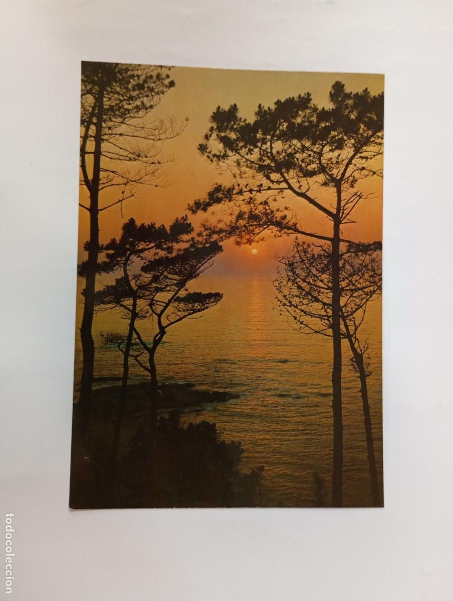 Postales: POSTAL DE GALICIA. PUESTA DE SOL. TDKP29X